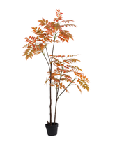 Artificial Autumn Feathery Leaf Tree 150cm (5ft)